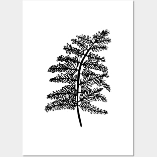 fern leaf Posters and Art